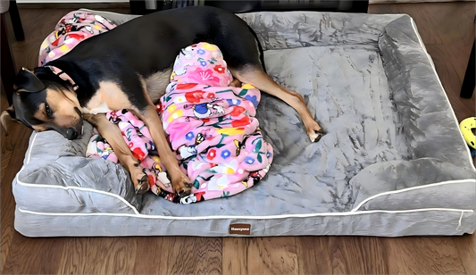 Hausynne Orthopedic Dog Beds for Extra Large Dogs, Waterproof Memory Foam XL Pet Bed with Sides, Non-Slip and Egg-Crate Foam Big Dog Couch Bed with Washable Removable Cover